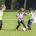 Geplant: Neue Spielformen im Kinderfußball ab dem Jahr 2024 verbindlich