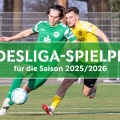 Spielpläne der beiden Landesliga-Gruppen für die Spielzeit 2025/2026 stehen fest