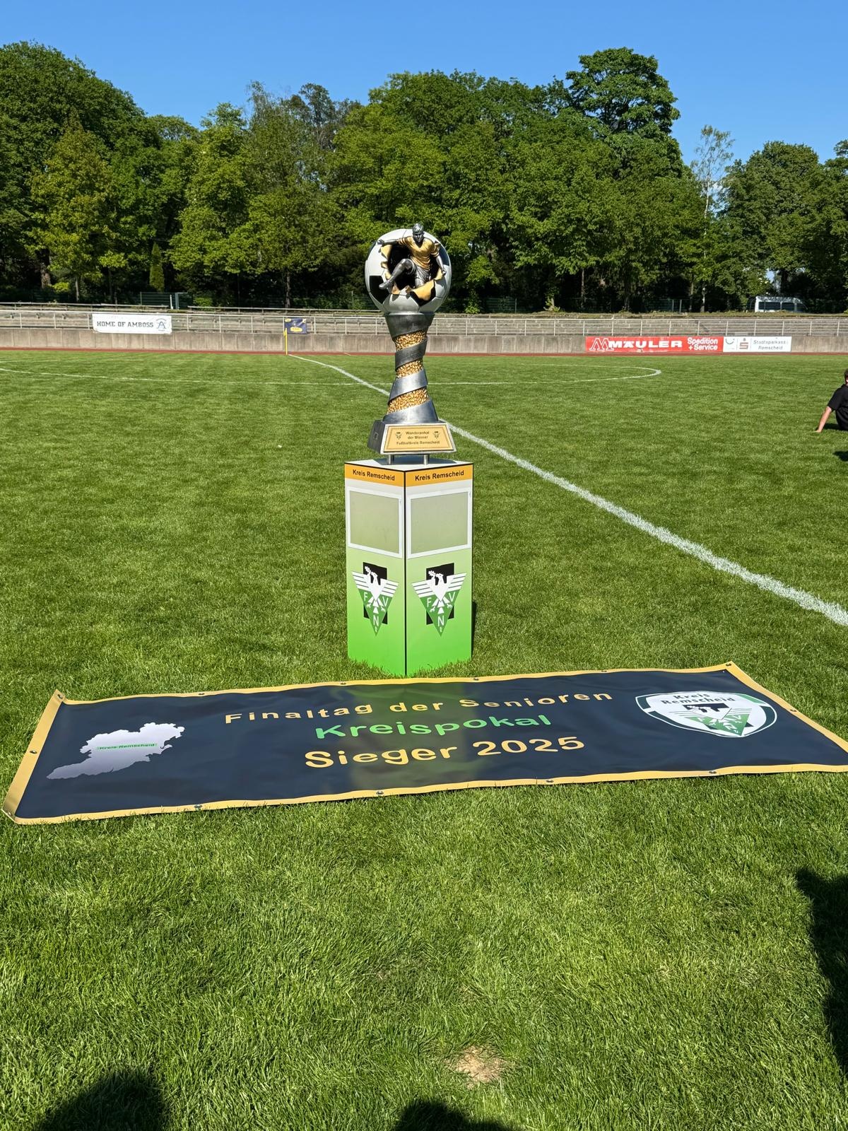 Kreissieger im Herrenfinale
