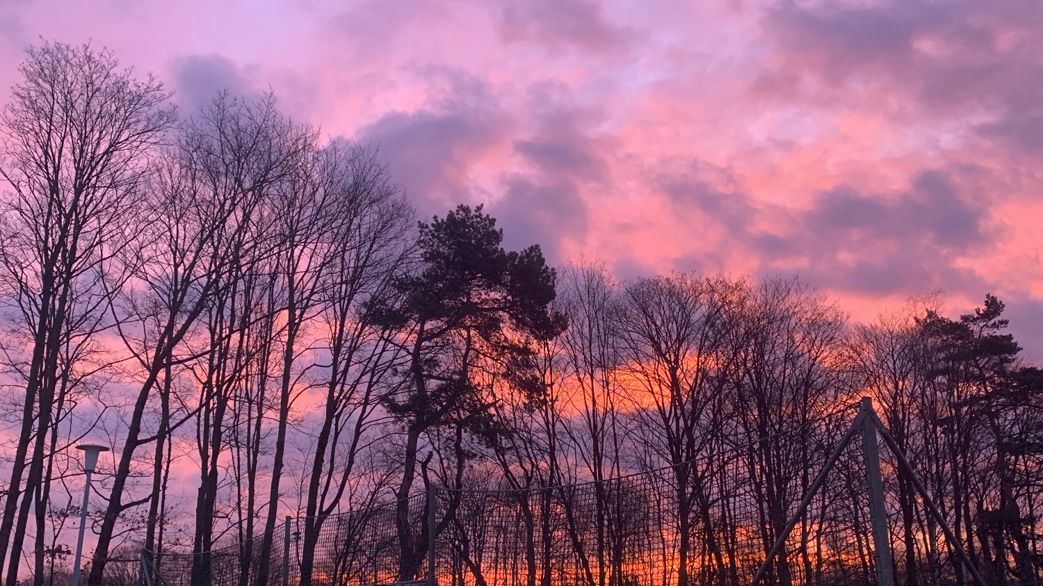 Tennisplatzanlage mit grünen Zäunen und Beschilderung ("Herzlich Willkommen, Plätze 5 & 6") vor orange-rosa Abendhimmel und kahlen Bäumen.