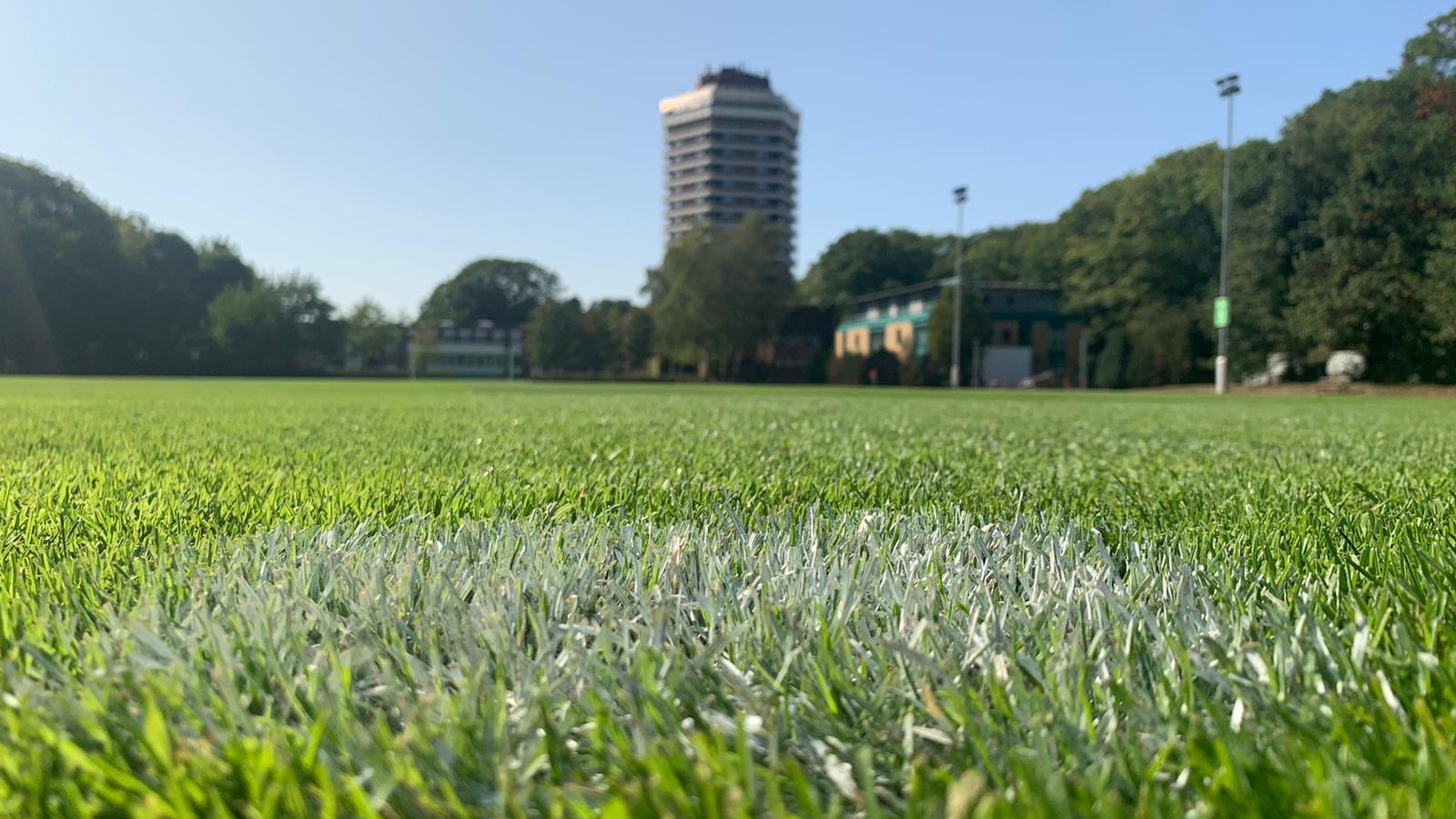 Grünes Grasfeld im Vordergrund, dahinter ein Fussballfeld und im Hintergrund ein hoher, beiger Wohnturm unter blauem Himmel. Bäume säumen den Rand.