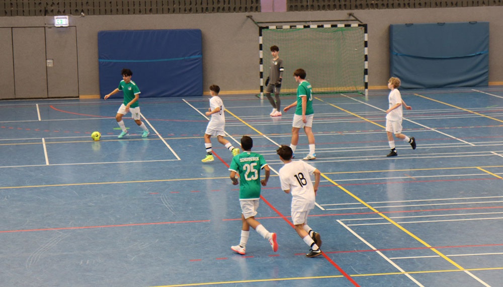 [{"clang_id":1,"value":"Handballspiel in Sporthalle. Mehrere Spieler in grünen und weißen Trikots agieren um den Ball. Im Hintergrund das Handballtor und blaue Wände."}]