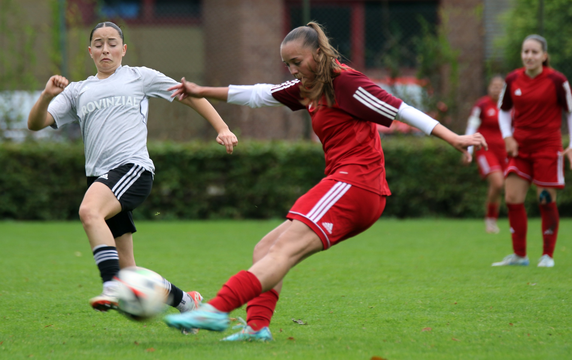 [{"clang_id":1,"value":"Zwei Fußballspielerinnen auf Grünfeld. Eine in rotem Trikot schießt, die andere in grau-weißem Trikot verteidigt. Im Hintergrund weitere Spielerinnen."}]