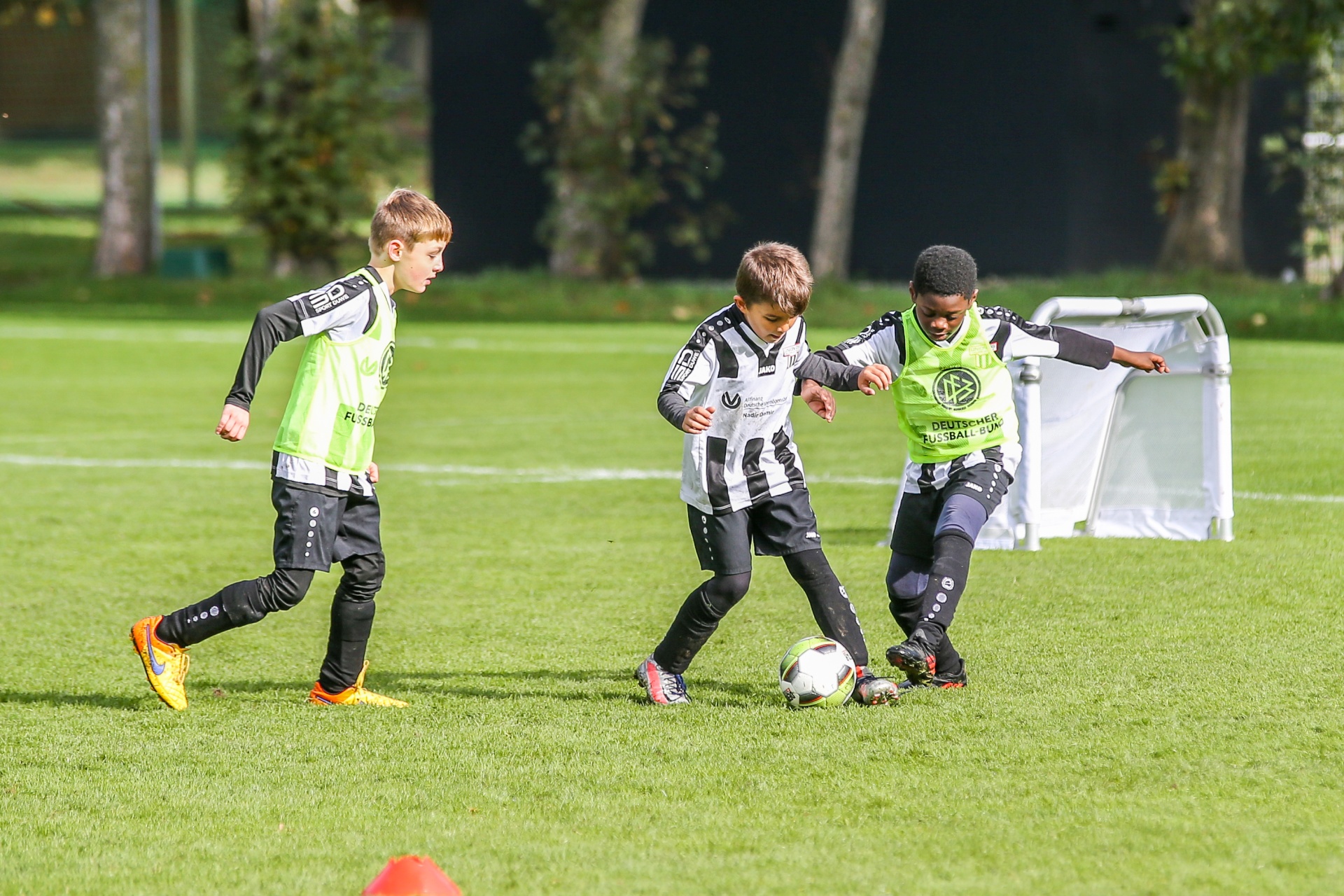[{"clang_id":1,"value":"Drei junge Fußballspieler auf grünem Rasen. Zwei tragen gelbe Westen, einer schwarz-weiß gestreiftes Trikot. Ein Spieler schießt auf den Ball. Im Hintergrund ein Fußballtor und Bäume."}]