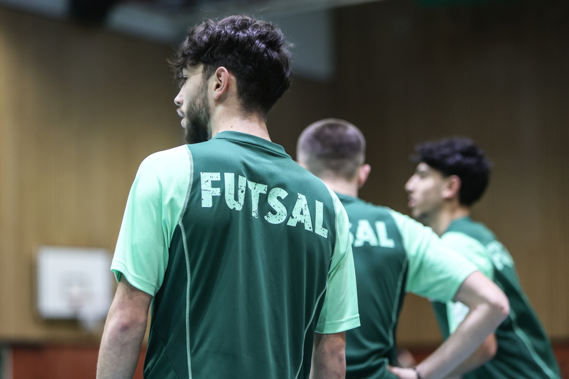 [{"clang_id":1,"value":"Drei junge Männer mit dunklen Haaren, von hinten gezeigt, tragen grüne Futsal-Trikots mit hellgrünen Ärmeln. Sie stehen in einer Sporthalle."}]