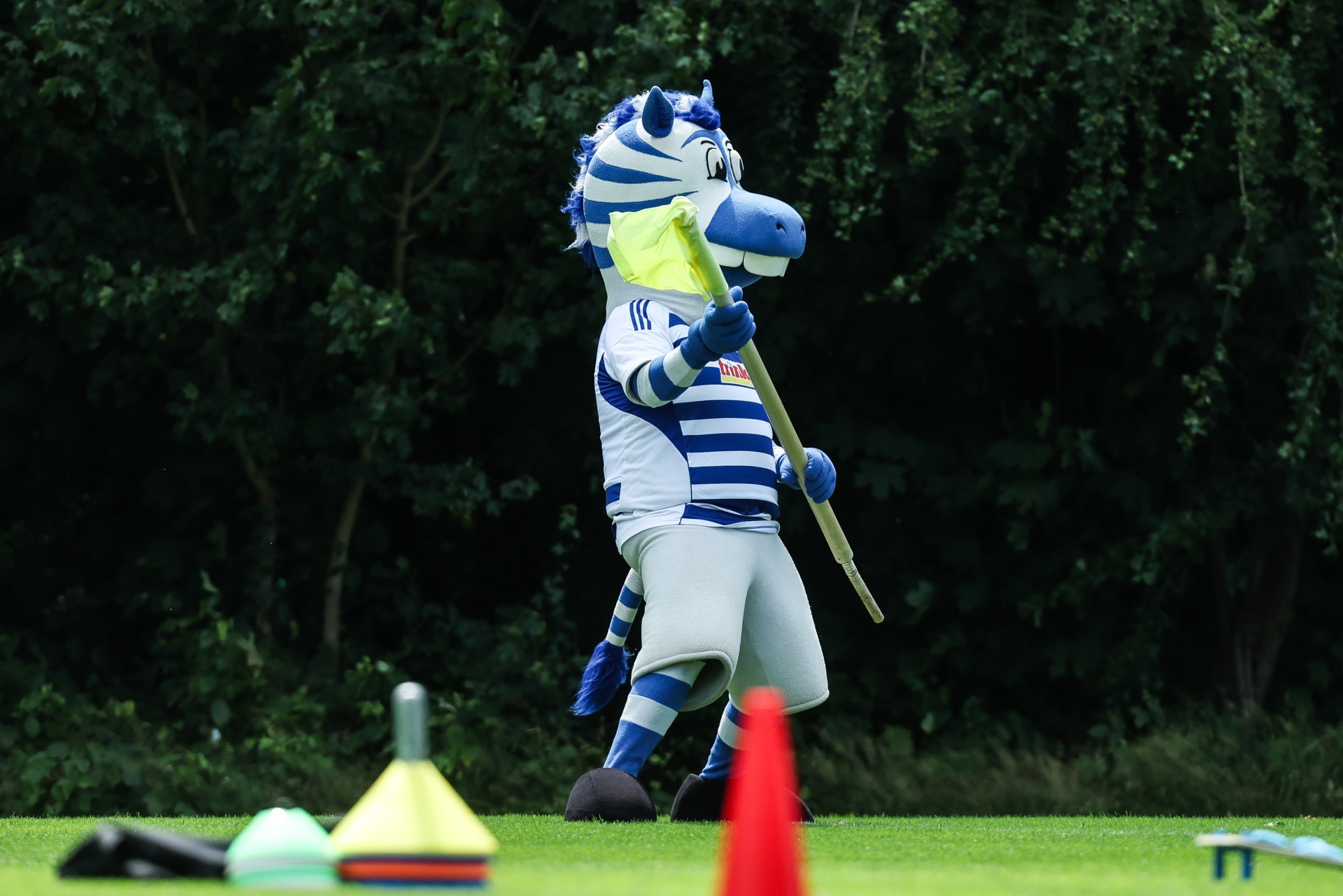 [{"clang_id":1,"value":"Maskottchen als Zebrakopf mit blau-weiß gestreiftem Trikot hält Hockey-Schläger auf Grünfläche vor Bäumen. Im Vordergrund Hockeyschläger und Pylonen."}]