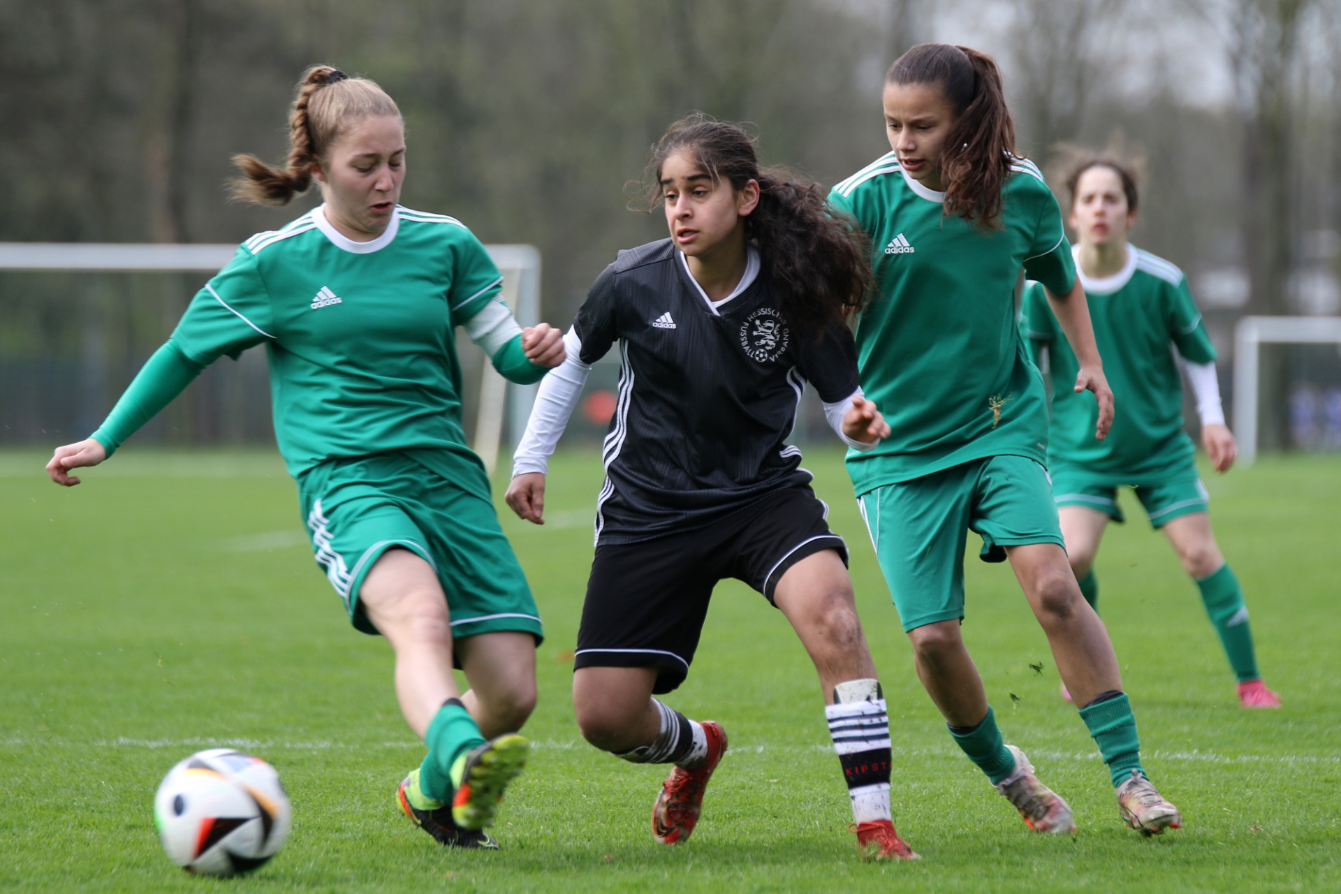[{"clang_id":1,"value":"Fußballspiel: Drei junge Frauen kicken einen Ball auf einem Rasenplatz. Eine Spielerin trägt Schwarz-Weiß, die anderen Grün."}]