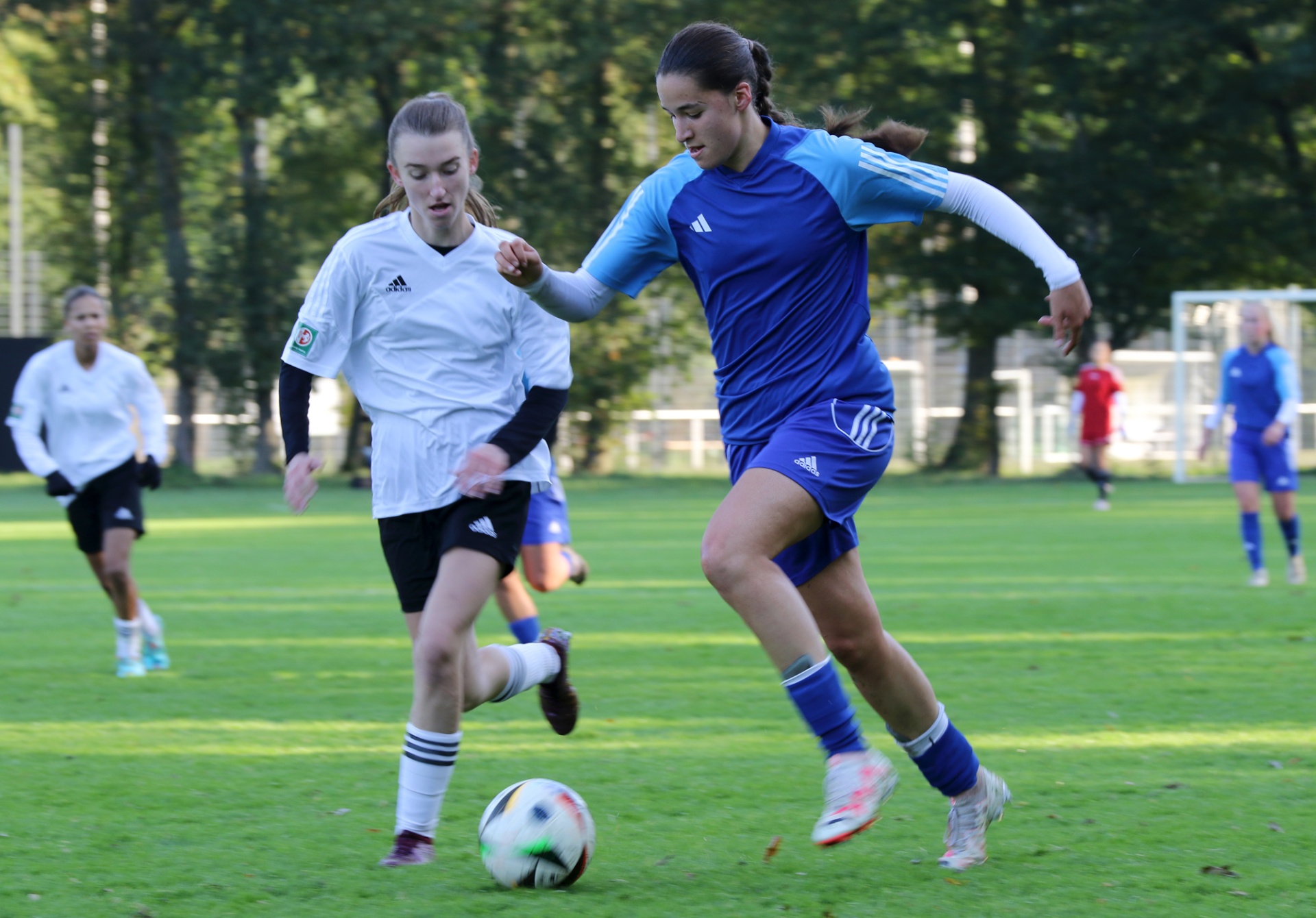 [{"clang_id":1,"value":"Zwei Fußballspielerinnen auf Grünfeld. Links in Weiß, rechts in Blau, dribbeln um den Ball. Im Hintergrund weitere Spieler und Bäume."}]