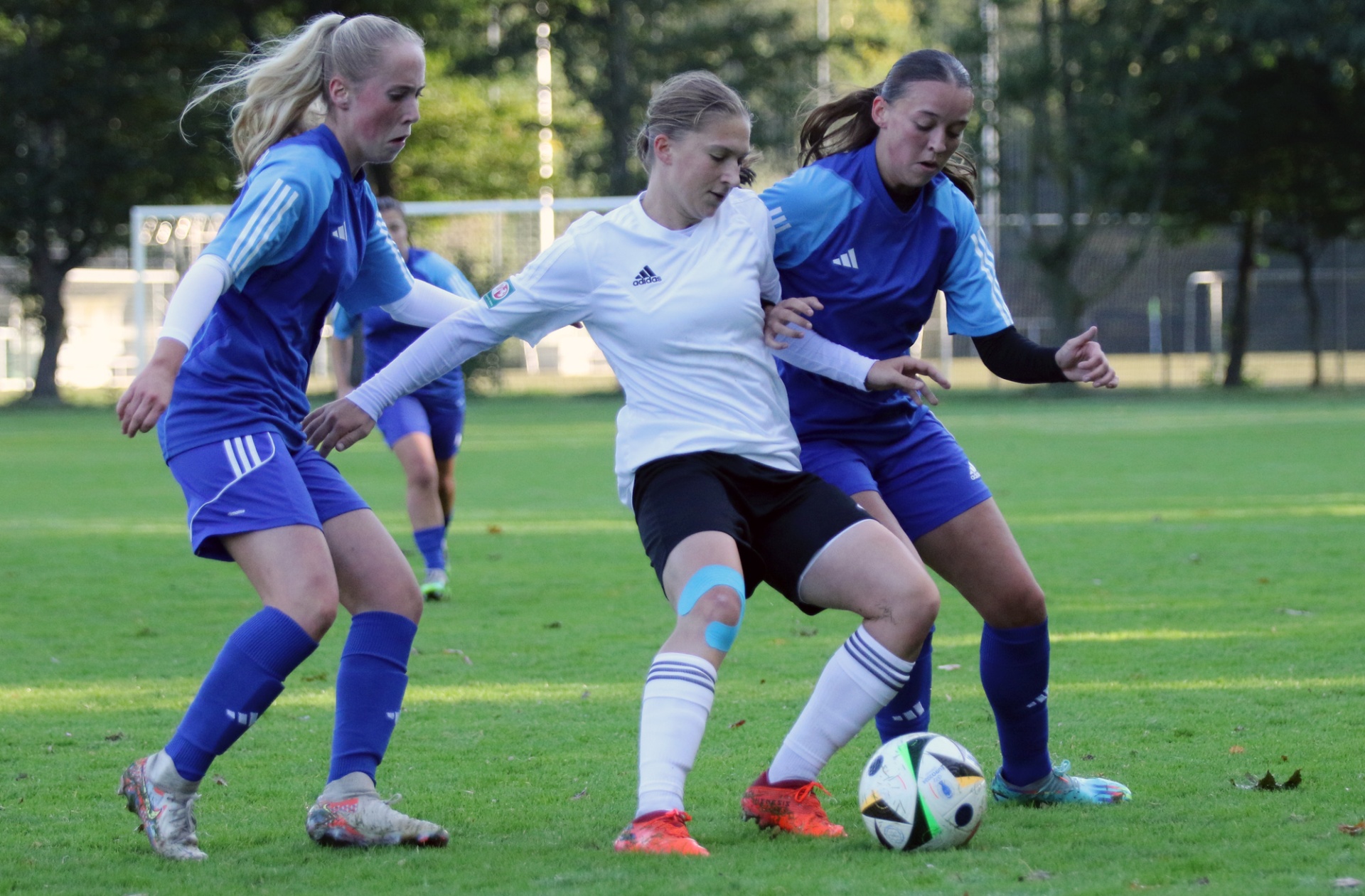 [{"clang_id":1,"value":"Drei Fußballspielerinnen auf Grünfeld. Mitte: Spielerin mit weißem Trikot, dribbelt den Ball. Links und rechts: Gegenspielerinnen in blauen Trikots."}]