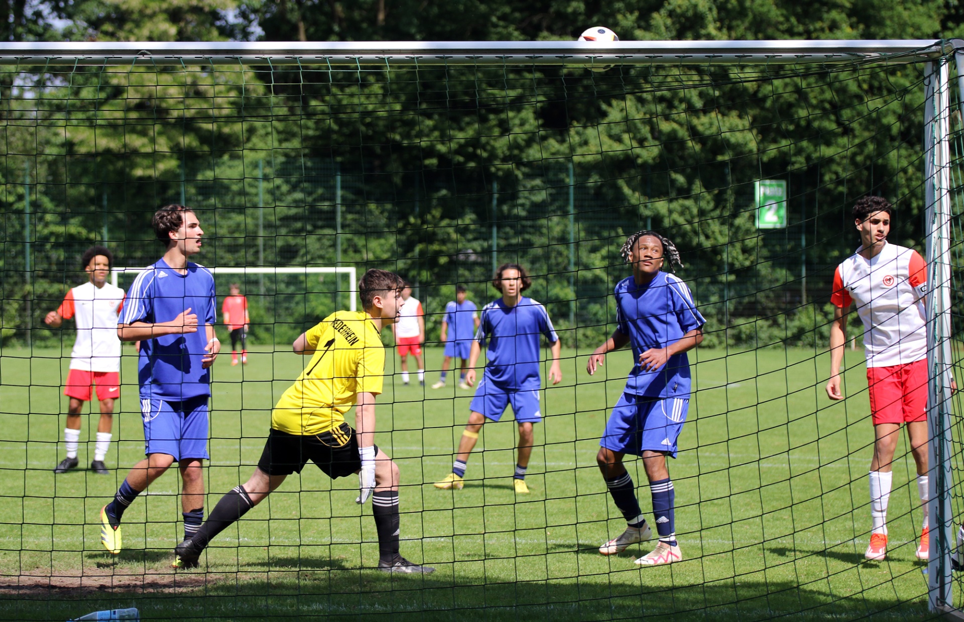 [{"clang_id":1,"value":"Fußballspiel: Spieler in blau und rot vor dem Tor. Ein Torwart in gelb versucht, den Ball zu halten. Hintergrund: Grünfläche mit Bäumen und Zaun."}]