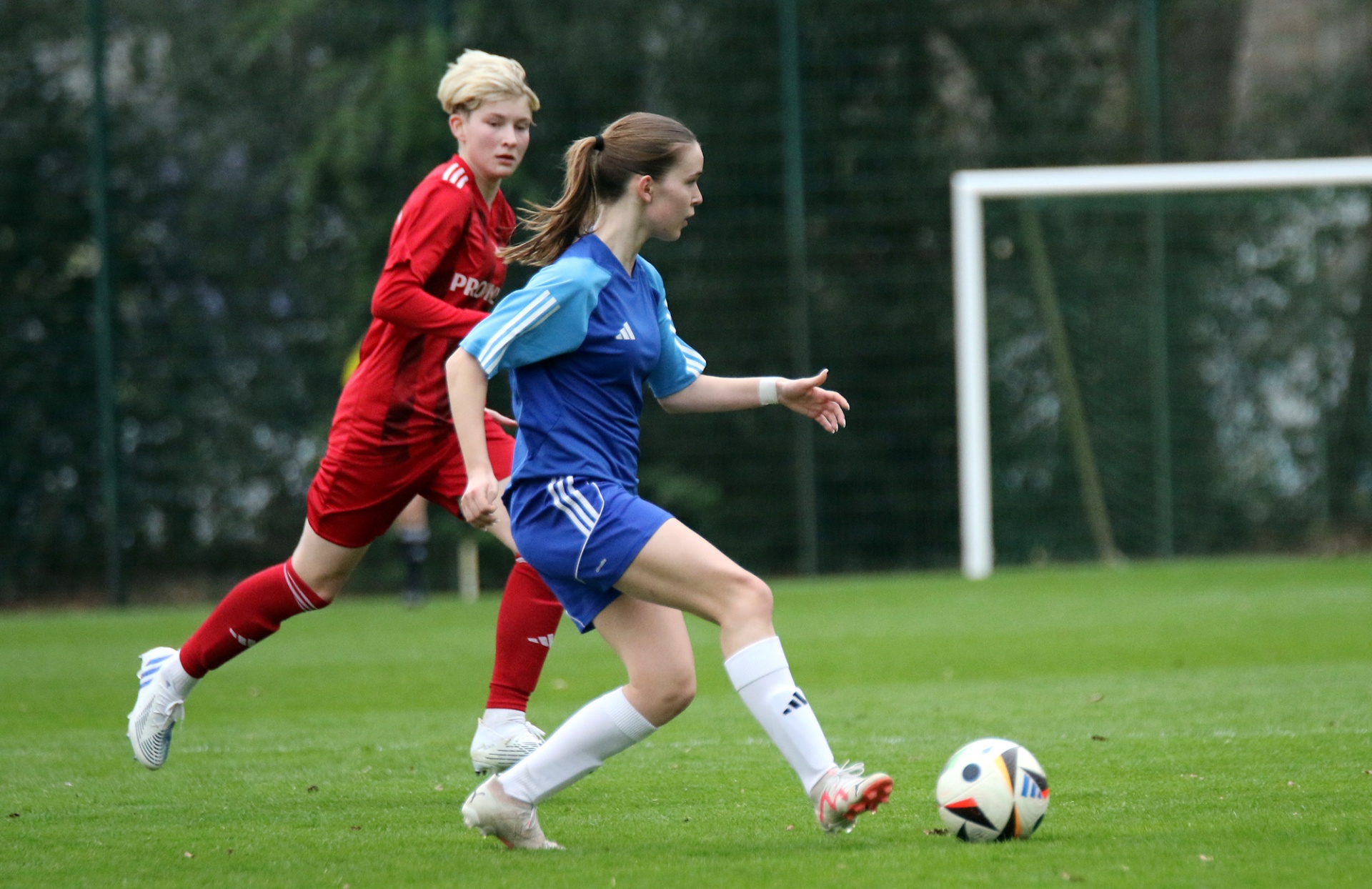 [{"clang_id":1,"value":"Zwei Fußballspielerinnen auf einem grünen Rasenfeld. Eine trägt blaues Trikot, die andere rotes. Im Hintergrund ein Fußballtor und eine grüne Hecke."}]