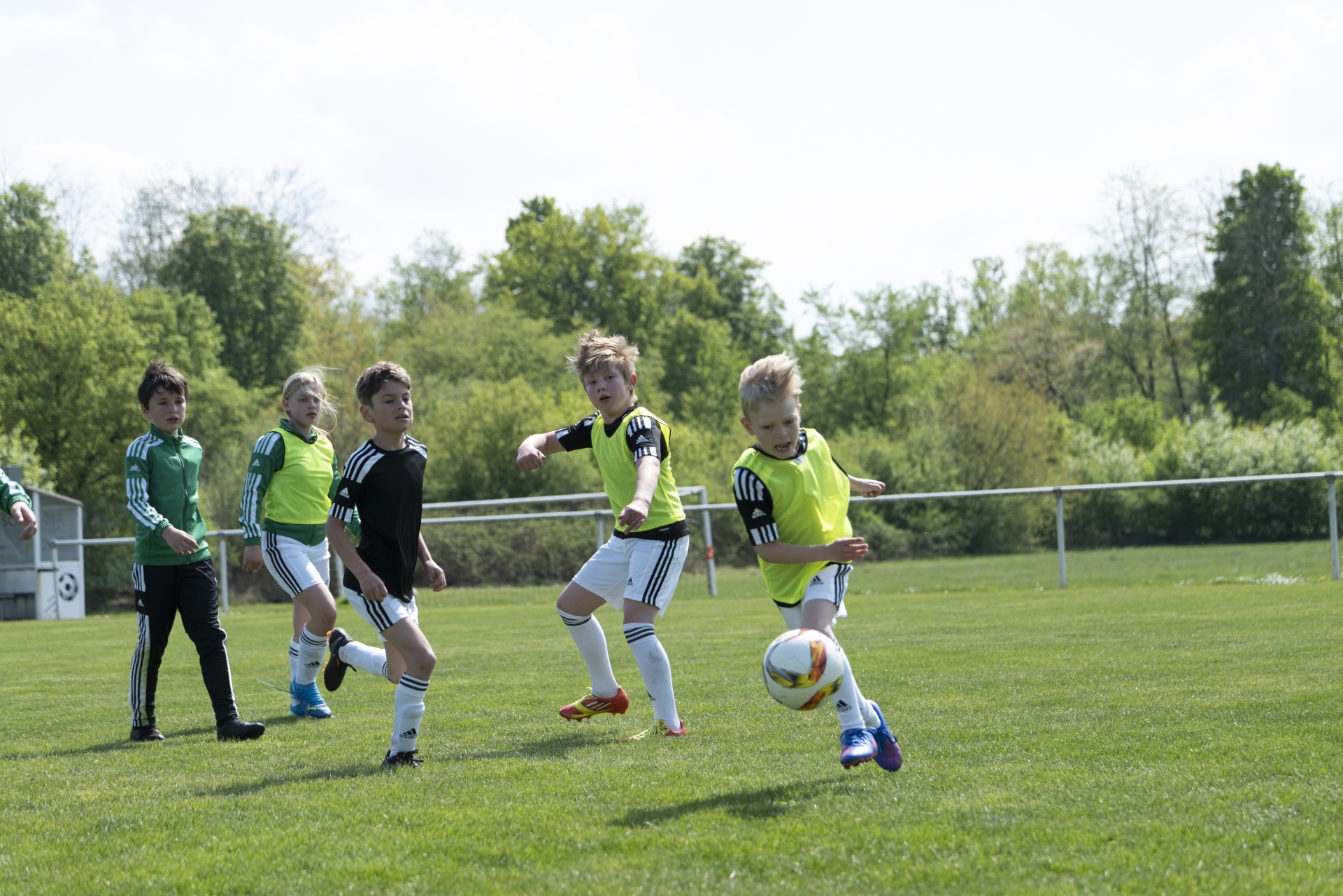 [{"clang_id":1,"value":"Fünf Jungen spielen Fußball auf einem grünen Rasenplatz. Ein Junge schießt den Ball, die anderen folgen dem Spiel. Im Hintergrund Bäume und ein Gebäude."}]