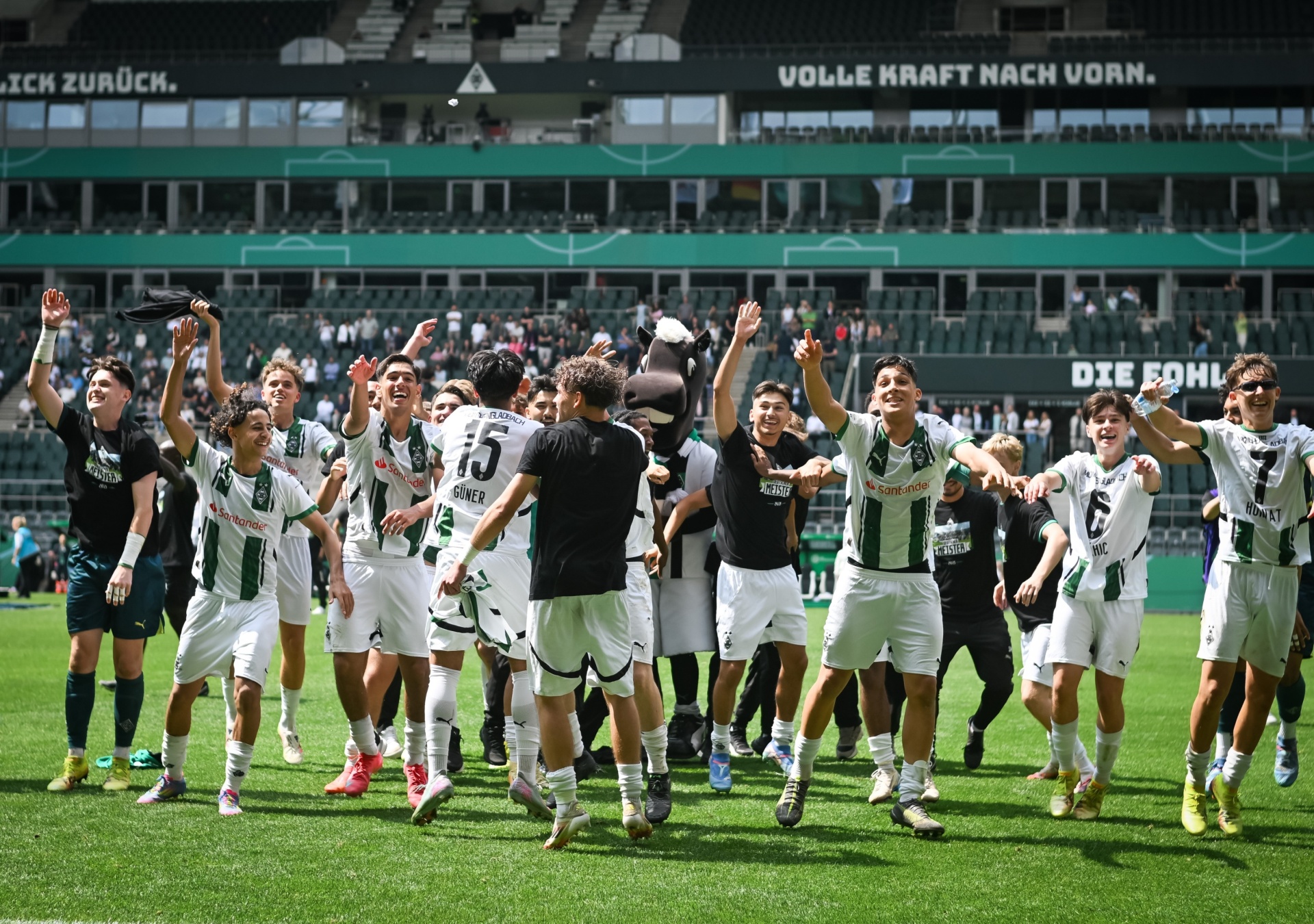 [{"clang_id":1,"value":"Fußballmannschaft in weißen und grünen Trikots jubelt auf dem Rasen. Im Hintergrund Zuschauer und Banner mit Schriftzügen."}]