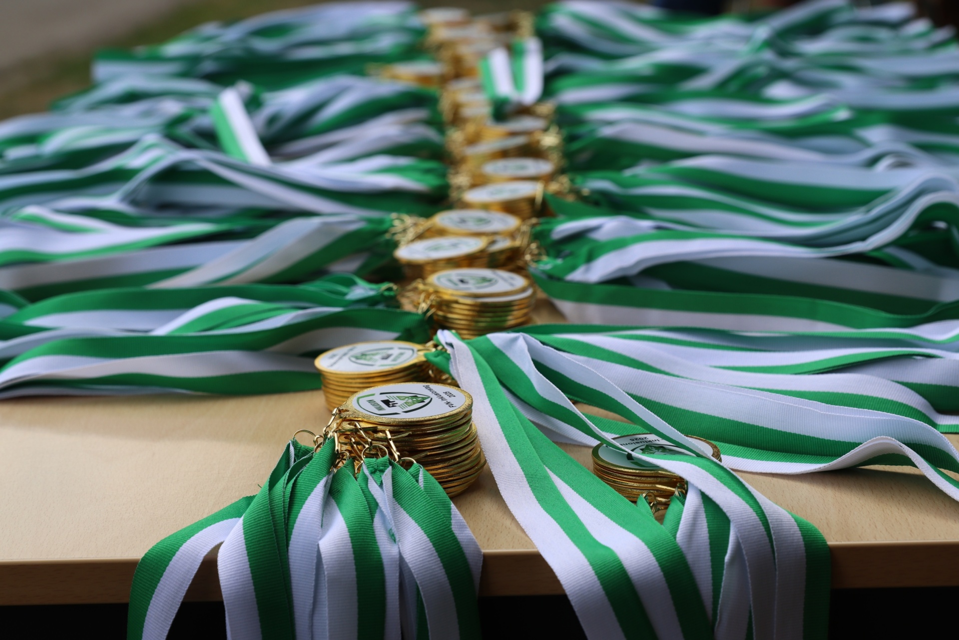 [{"clang_id":1,"value":"Medaille mit grün-weißem Band auf brauner Oberfläche. Viele Medaillen liegen dicht an dicht. Goldfarbene Medaillen mit Aufschrift."}]