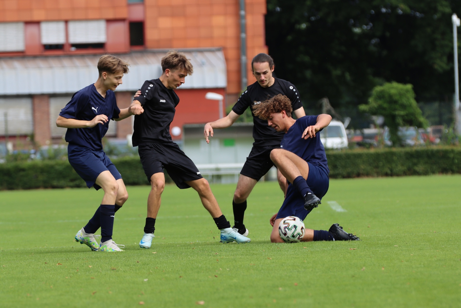[{"clang_id":1,"value":"Vier Fußballspieler auf grünem Rasen. Zwei in blau, zwei in schwarz, kämpfen um den Ball. Im Hintergrund ein Gebäude und Bäume."}]