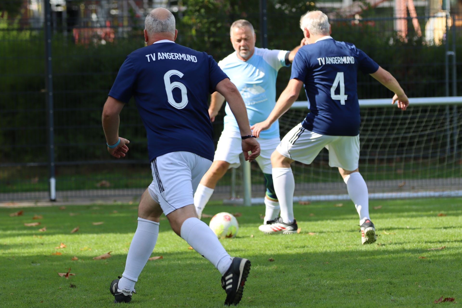 [{"clang_id":1,"value":"Drei ältere Fußballspieler auf Rasenfeld. Spieler mit Trikotnummer 6 schießt Ball, wird von Spielern mit 4 und hellblau angegriffen. Hintergrund: Zaun, Bäume."}]