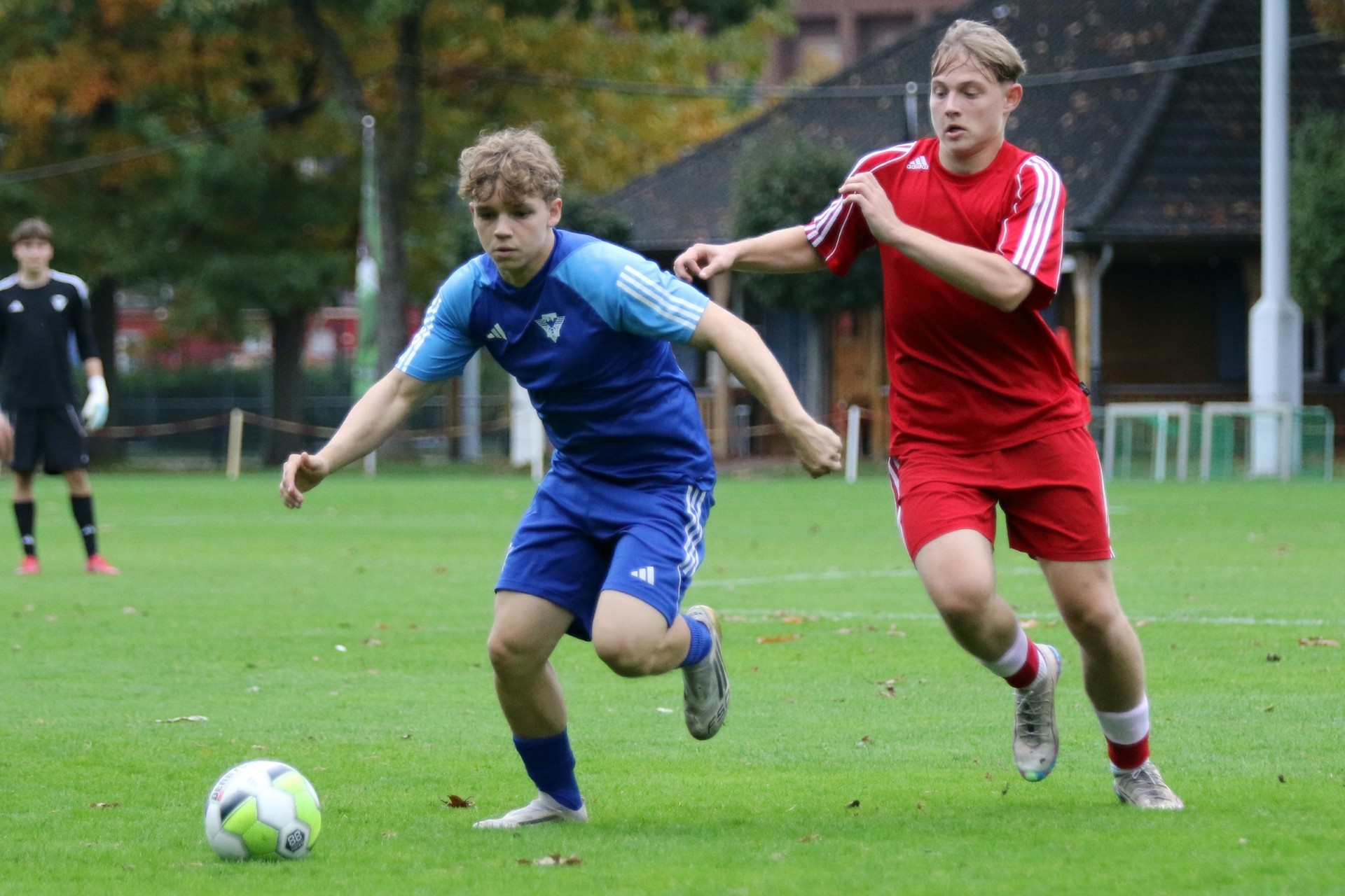 [{"clang_id":1,"value":"Zwei junge Fußballspieler im Wettkampf. Links trägt ein Spieler blaues Trikot und Shorts, rechts rotes. Dazwischen ein Fußball auf Grünfläche."}]