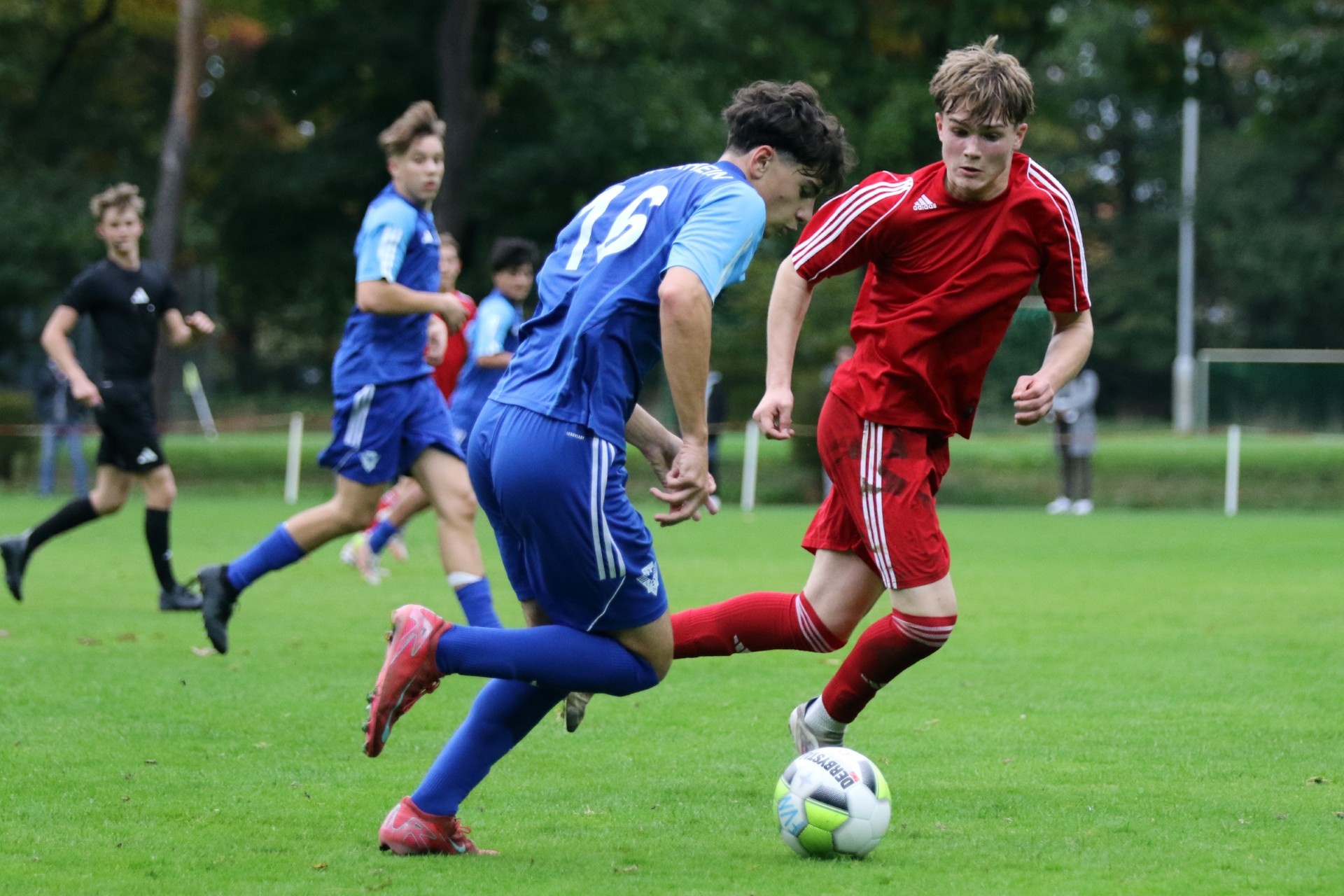 [{"clang_id":1,"value":"Zwei Fussballspieler kämpfen um den Ball auf grünem Rasen. Links ein Spieler in blauem Trikot, rechts in rotem. Im Hintergrund weitere Spieler."}]