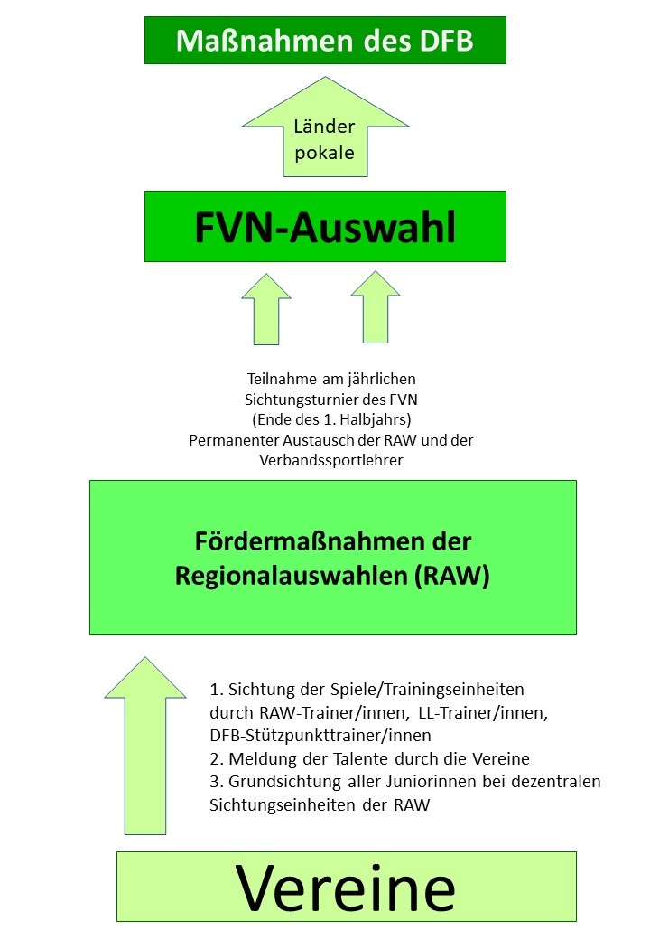 [{"clang_id":1,"value":"Flussdiagramm zur Talentförderung im Fußball. Von Vereinen über Regionalauswahlen (RAW) zur FVN-Auswahl und schließlich zu DFB-Maßnahmen (Länderpokal)."}]