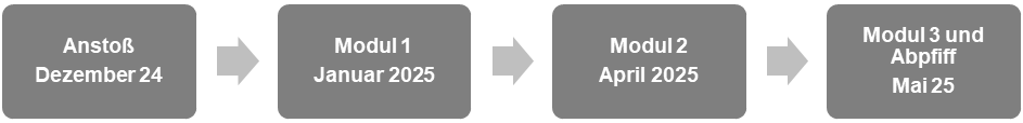 [{"clang_id":1,"value":"Zeitlicher Ablauf: Start Dezember 2024, Modul 1 Januar 2025, Modul 2 April 2025, Modul 3 & Abschluss Mai 2025. Pfeile zeigen den Fortschritt."}]